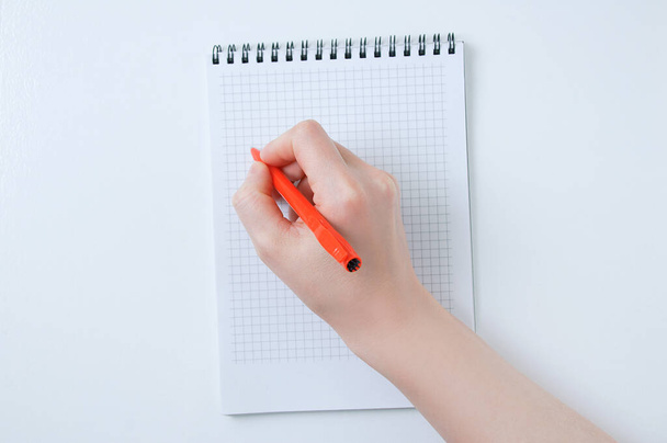 Hand of a caucasian girl makes an entry in a notebook on a white background. View from above. - Foto, Imagen