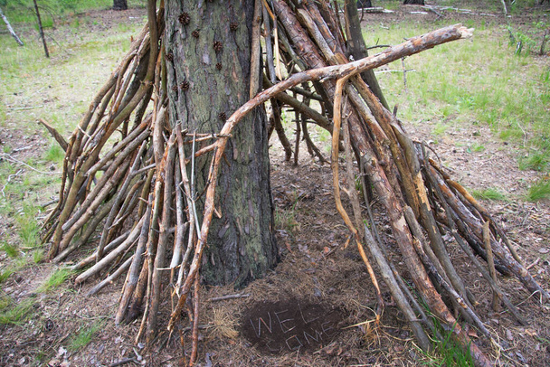 ウクライナの春の森の森から木や枝から子供たちが作ったシンプルな小屋の一種. - 写真・画像