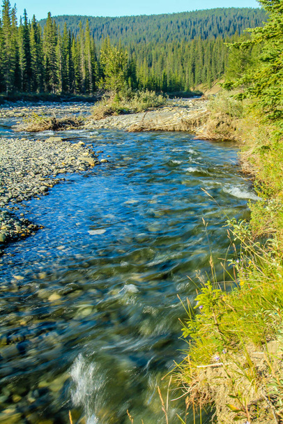Waiprous Creek a parkban kóborol. North Ghost Provincial Recreation Area, Alberta, Kanada - Fotó, kép