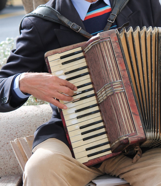 Accordian player played accordionist  stock, photo, photograph, image, picture, - Photo, Image