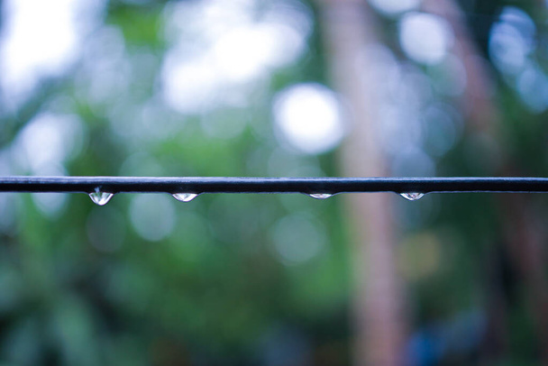A row of many rain droplets on a black cabel line in rainy day with blur green nature background and bokeh light.Blurred background with bokeh through the tree - Photo, Image