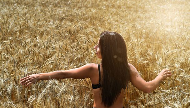 una hermosa chica en un campo de espigas doradas en libertad
 - Foto, Imagen