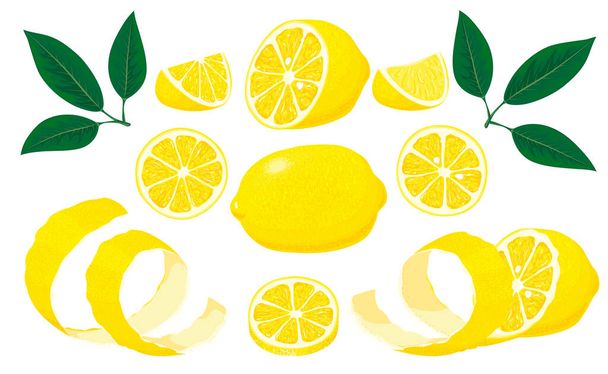Набор цельный, разрезанный пополам, нарезанный на кусочки свежие лимоны и листья, лимонная кожура. Ручная рисованная векторная иллюстрация на белом фоне - Вектор,изображение