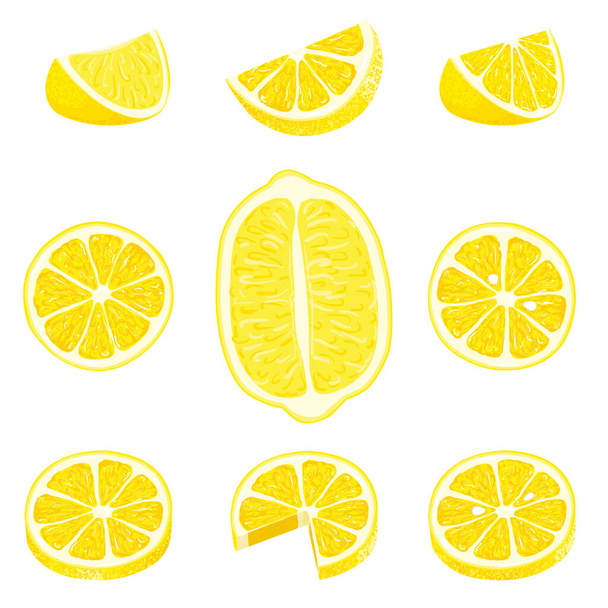 Tamamlanmış, ikiye bölünmüş, dilimlenmiş taze limon ve limon kabuğu. El çizimi vektör çizimi beyaz arkaplanda izole edildi - Vektör, Görsel