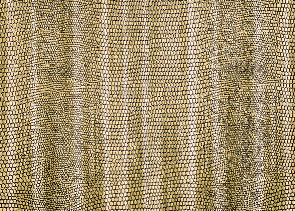 Печать шторы из бледно-золотистого коричневого цвета для использования в качестве фона или текстуры
 - Фото, изображение
