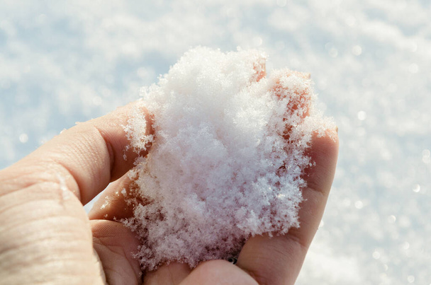 Természetes, puha fehér havat tart a kezében, kint a szabadban. Téli nap és hó a kézben. A napfény visszatükröződik a hóban. A kéz hideg havat tart. Téli szabadidő. - Fotó, kép