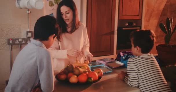 Young mother preparing lunch boxes with healthy food for children - Footage, Video