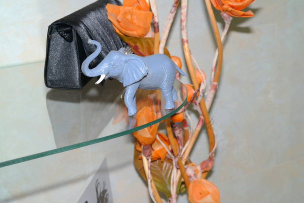 кінь. жовта троянда на синьому фоні. слон у клітці. слон. крупним планом кінь
 - Фото, зображення
