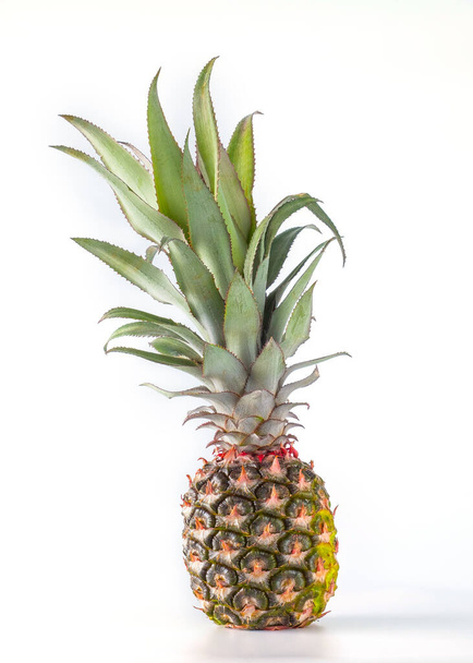 Ananas ovoce izolované na bílém pozadí s výstřižkem cesta. - Fotografie, Obrázek
