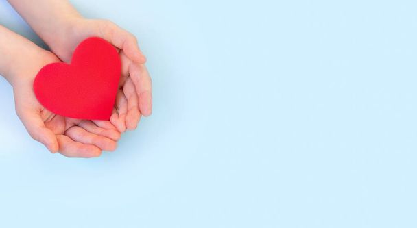 子供の手は明るい背景に赤いハートを持っています。健康管理、臓器提供、健康保険、家族保険、愛。世界保健デー｜National Organ Donor Day.World heart dayバナー - 写真・画像