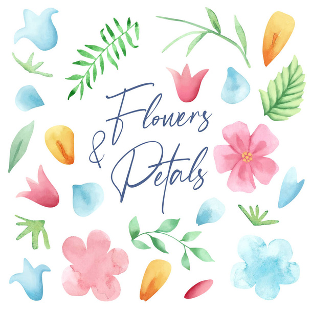 Hand drawn watercolor flowers and petals collection. Watercolor flowers, petals and leaves - Fotó, kép