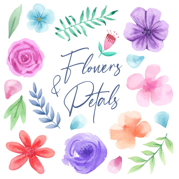 Hand drawn watercolor flowers collection. Watercolor flowers, petals and leaves - 写真・画像