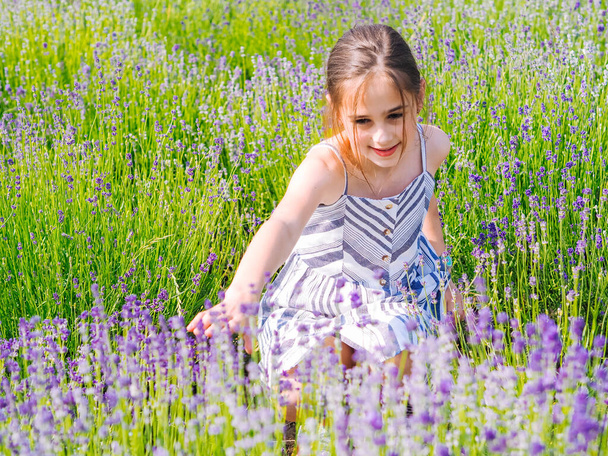 Little girl in dress sit between lavender fields in Provence. Violet lavender fields blooming in summer sunlight. Sea of Lilac Flowers landscape. Bunch of scented flowers of the French Provence. - Photo, Image