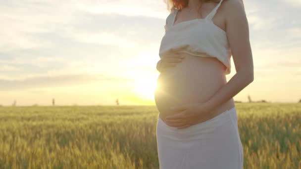 Mujer embarazada tocando suavemente su barriga mientras está de pie junto al campo en la puesta del sol
. - Metraje, vídeo