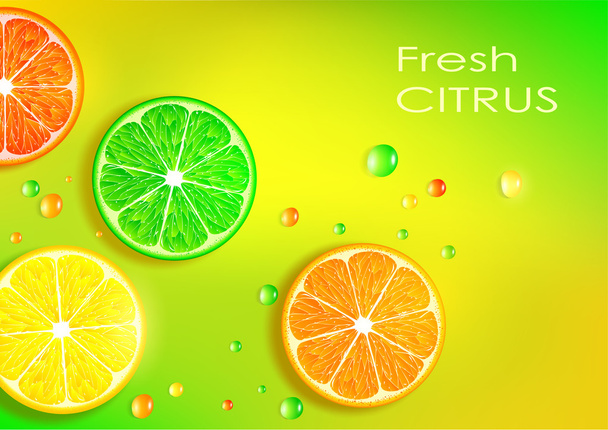orange, lemon, lime and grapefruit - Фото, зображення
