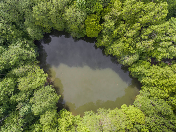 Aerial top view of muddy forest lake. Drone photos in warm tones. - Valokuva, kuva
