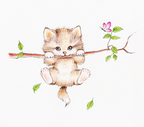 kis cica, lóg a fán - Fotó, kép