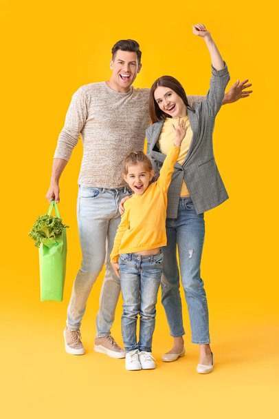 Счастливая семья с едой в сумке на цветном фоне
 - Фото, изображение