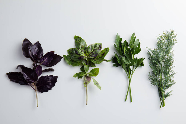Persil, herbes, aneth, basilic sur fond blanc. Concept minimum
 - Photo, image