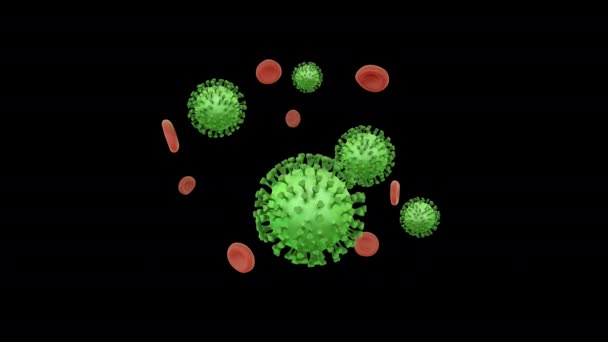 flying blood cells with coronavirus with alpha channel - Footage, Video