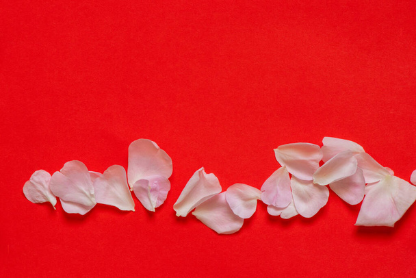 tea rose petals scattered on a red background - Foto, afbeelding