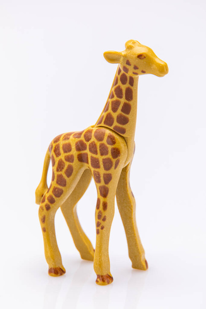 primer plano de una jirafa de un juguete de plástico aislado sobre un fondo blanco
 - Foto, Imagen