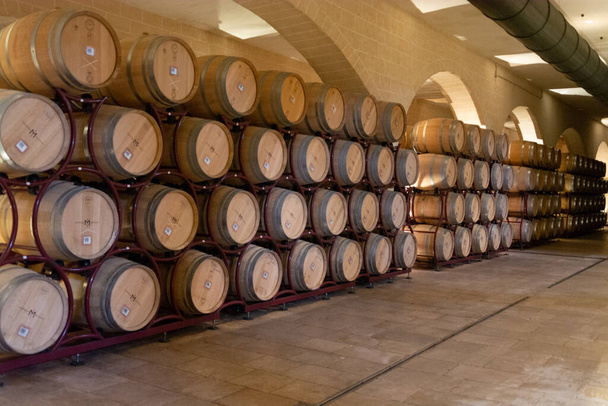 İtalya 'daki modern biyo-şarap üretim fabrikası, şarap üzümlerinin mayalanması için kullanılan inoks çelik tankları. - Fotoğraf, Görsel