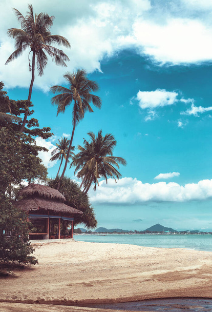 Hut in the shade of palm trees on a tropical beach - Photo, Image
