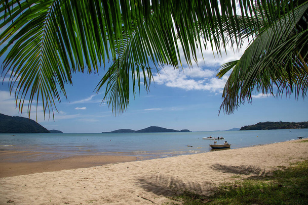 Näkymä trooppiselle rannalle kookospalmun lehtien läpi - Valokuva, kuva