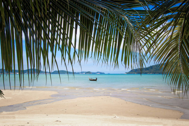 View of a tropical beach through the leaves of coconut palms - Photo, Image