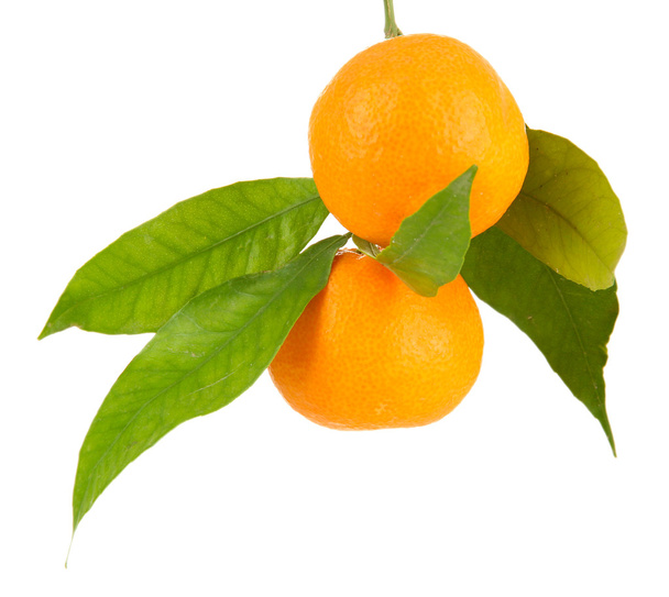 Ripe sweet tangerines with leaves, isolated on white - Zdjęcie, obraz