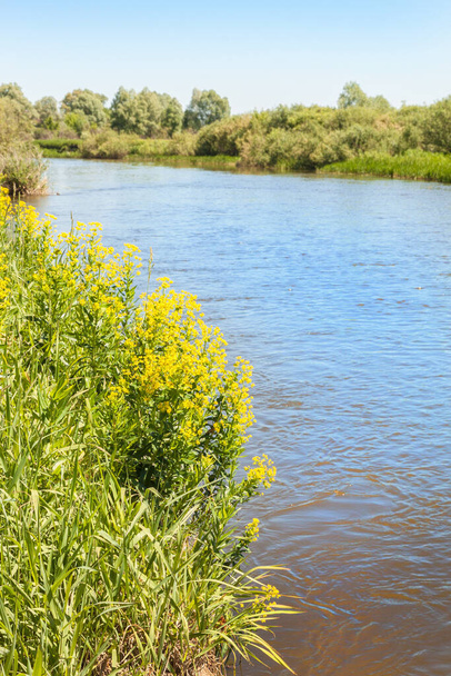 Маленька річка Тетерів у Полісі в сонячний весняний день. - Фото, зображення