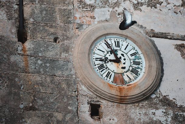 Time Flies: Un antico orologio da strada circolare su un vecchio muro con piccione volante Vejer de la Frontera, Cadice, Spagna - Foto, immagini