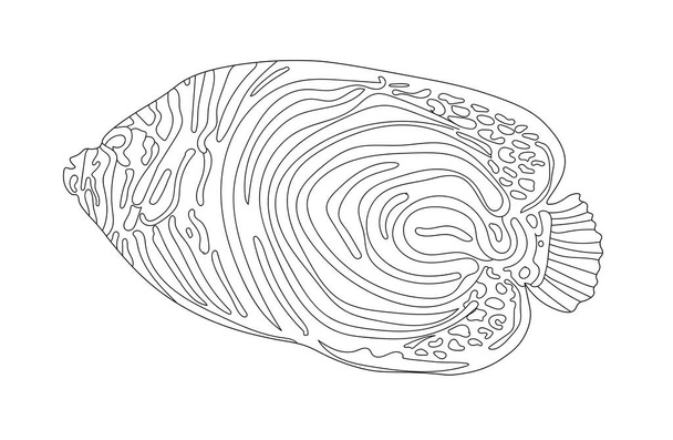 Fish exotic coloring. Antistress coloring page. Sea creatures. Ocean fish. Vector illustration. - Vector, Image