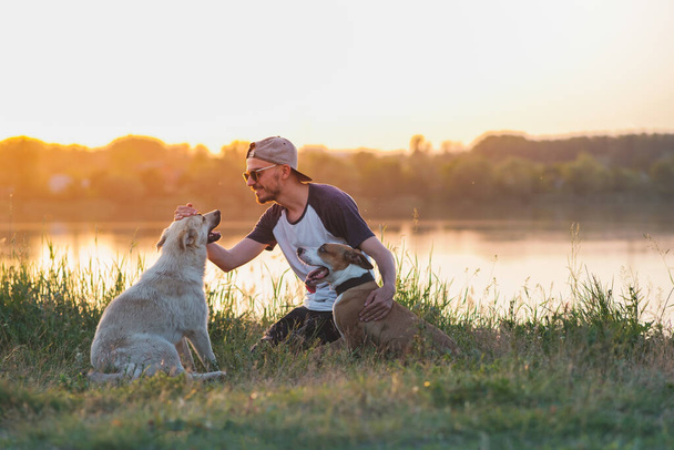 Man pets his dogs in the nature at sunset by the lake. Human and pet relationship, communication and interaction, taking care of dogs - Photo, image