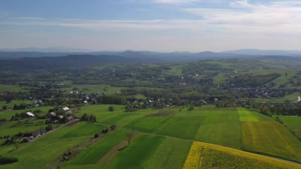 Vista aérea de infinitas tierras de cultivo y hermoso campo con campos y prados amarillos y verdes en el área rural
.  - Imágenes, Vídeo