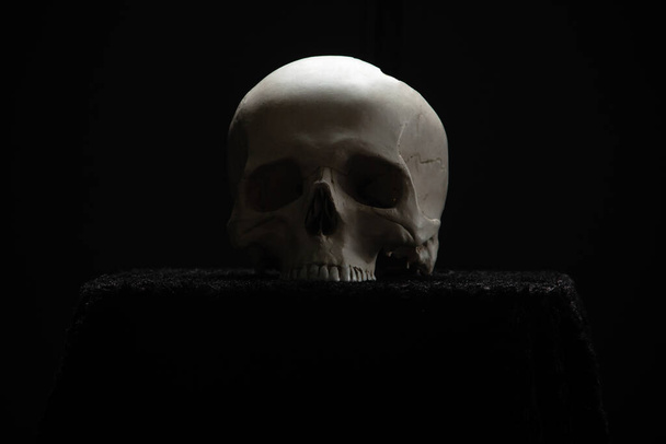 Kafatası sunakta, karanlıkta, siyah bir arka planda yatıyor.. - Fotoğraf, Görsel