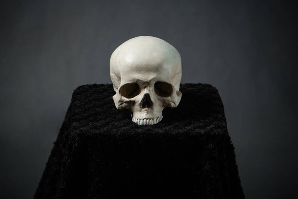 Crâne couché sur l'autel dans l'obscurité sur un fond noir. - Photo, image