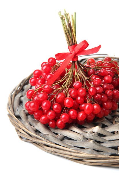 Red berries of viburnum isolated on white - Foto, afbeelding