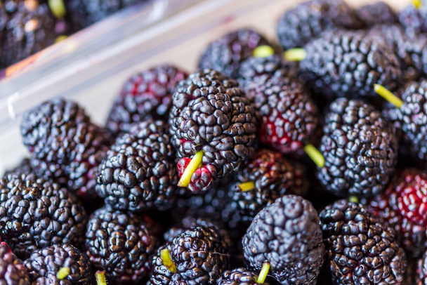 Organic Dark Black Ripe Mulberries in Plastic Box Package for Sale / Morus Mulberry Fruit. Group of black raspberry blackberry in box - Zdjęcie, obraz
