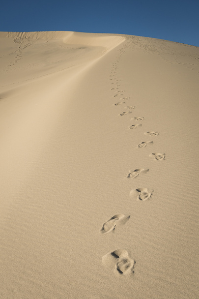 footprint in the desert uphill climb up to the sand dunes - Φωτογραφία, εικόνα