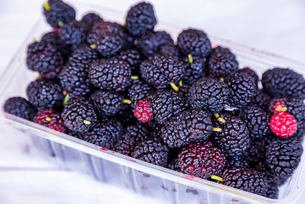 Organic Dark Black Ripe Mulberries in Plastic Box Package for Sale / Morus Mulberry Fruit. Group of black raspberry blackberry in box - Photo, Image