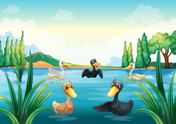 eine Gruppe Wasservögel am Teich - Vektor, Bild