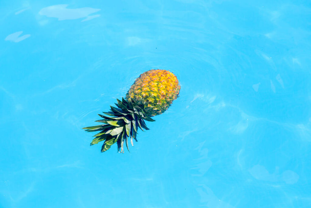 Bir havuzda yüzen ananas. - Fotoğraf, Görsel