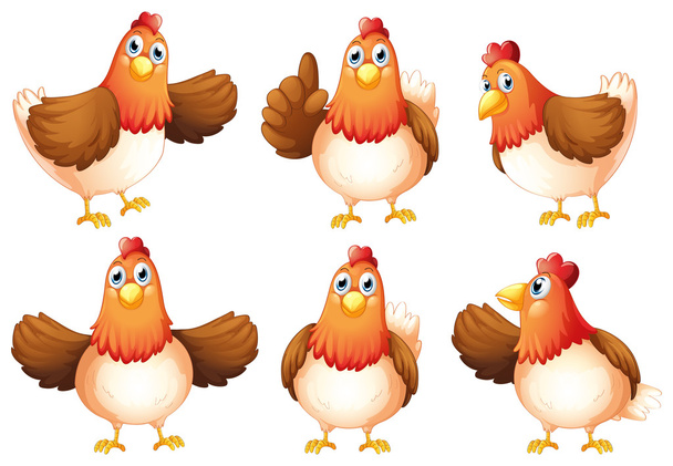 hat kövér csirkék - Vektor, kép