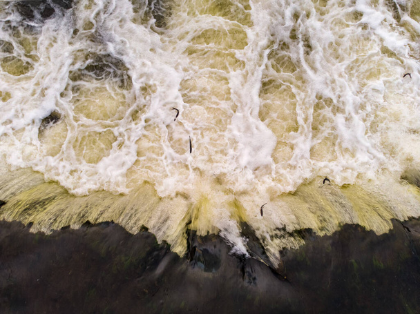 春には滝を飛び越える魚たち。ヨーロッパで最も広い滝で撮影された写真. - 写真・画像