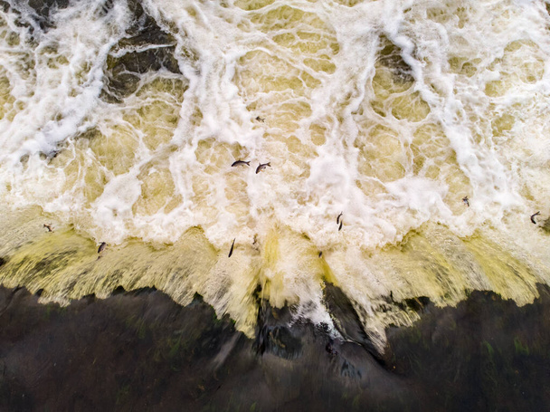 Areal drone photography view of Venta - widest waterfall in europe. - Photo, Image