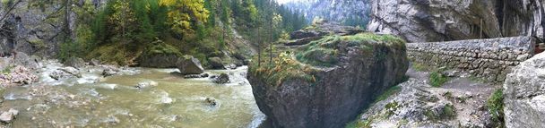 Панорама з ущелини Біказ ущелина в національному парку Чіле Біказулуй-Хасмас Румунія - Фото, зображення