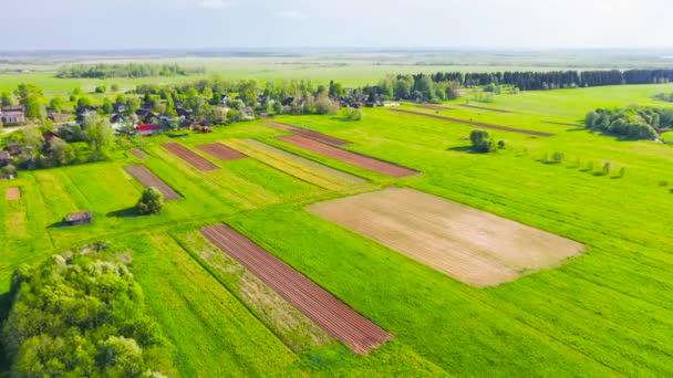 Pohled z ptačí perspektivy na krajinu letní venkovské vesnice s kvetoucími poli květin a plodin - Záběry, video