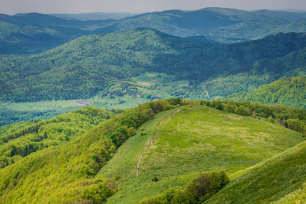 Vista sul prato montano Wetlina Polonyna a Bieszczady Mountains, Polonia
 - Foto, immagini